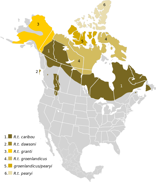 Map of taxonomic distribution of caribou in North America